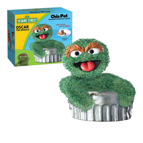 Chia Oscar comparación de tamaño Chia mostrando escala y colocación ideal