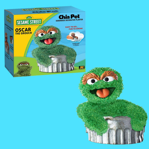 Chia Oscar en ambiente decorativo Chia que añade carácter y diversión