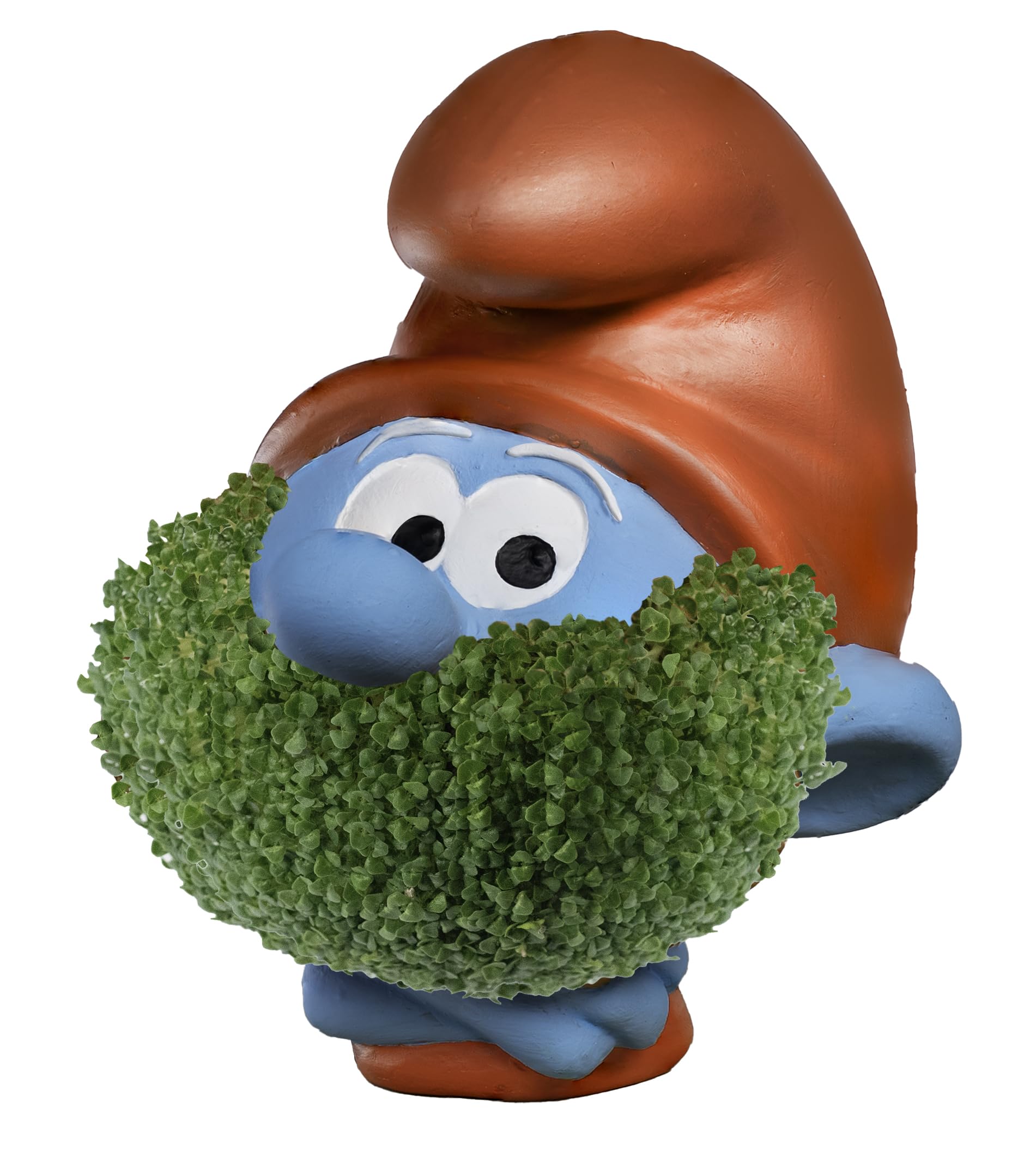 Chia Papa Smurf en uso sobre escritorio con planta creciendo para aportar frescura