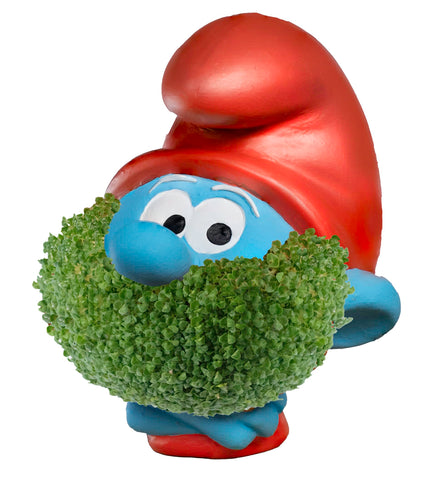 Chia Papa Smurf en uso sobre escritorio con planta creciendo para aportar frescura