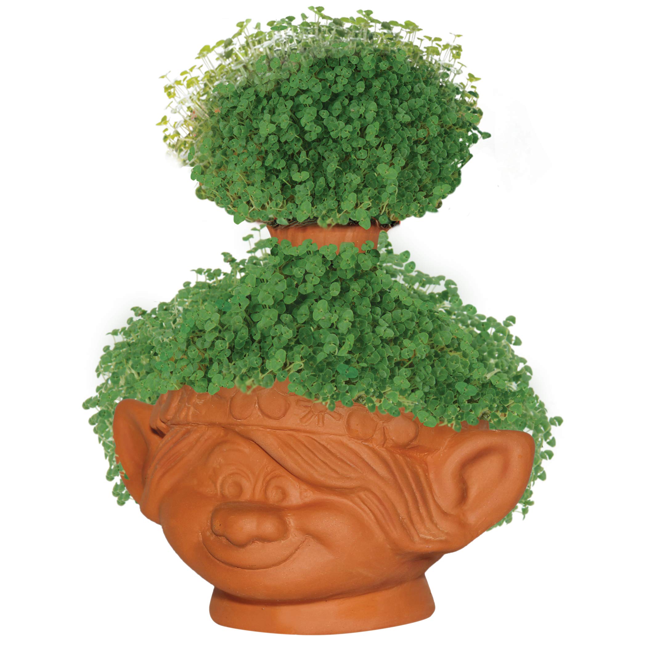Chia Poppy junto a una mano para escala Chia evidencia tamaño ideal para mesas