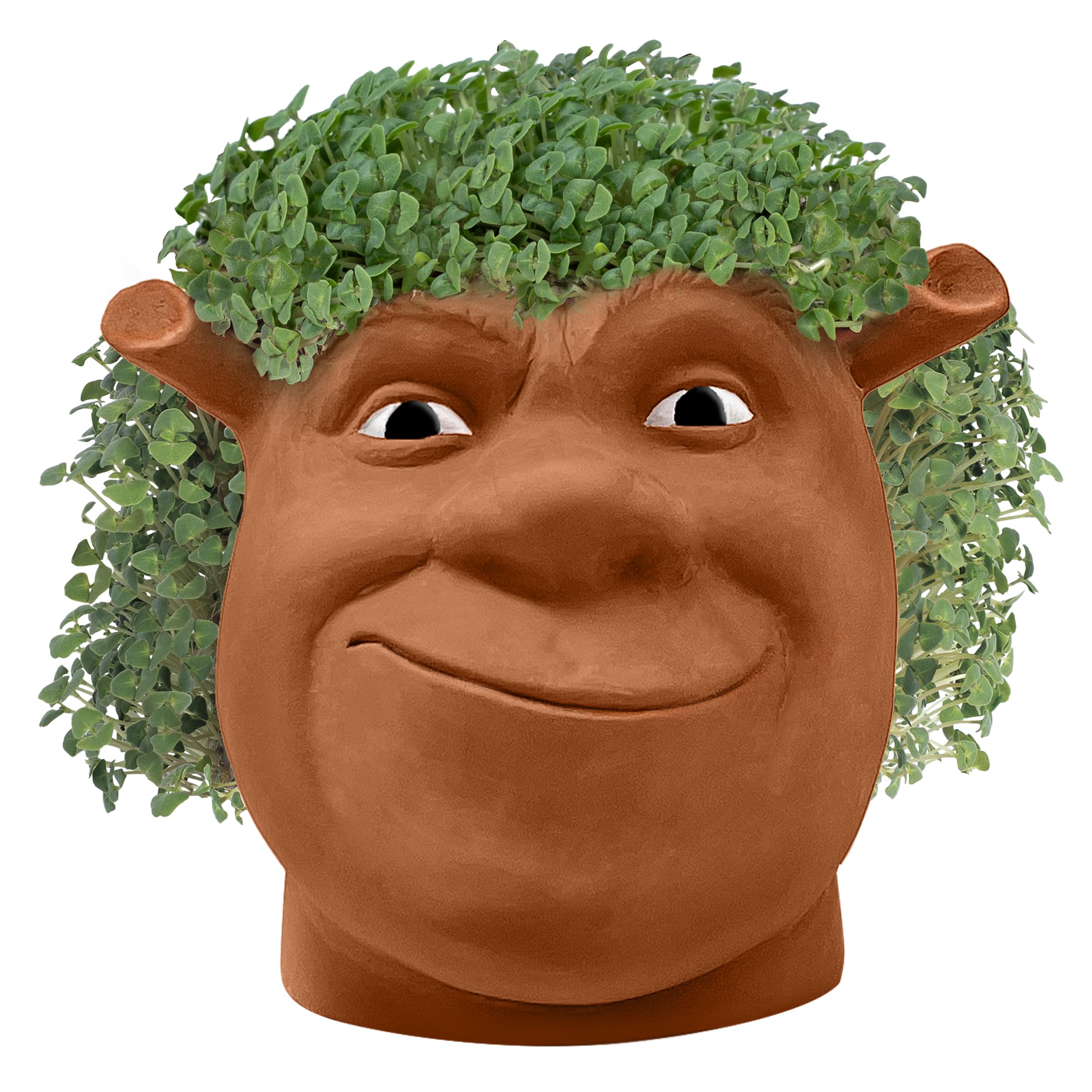 Chia Shrek con brotes verdes en proceso, Chia añade diversión y verdor rápido
