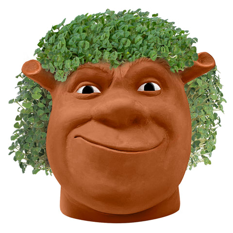 Chia Shrek con brotes verdes en proceso, Chia añade diversión y verdor rápido