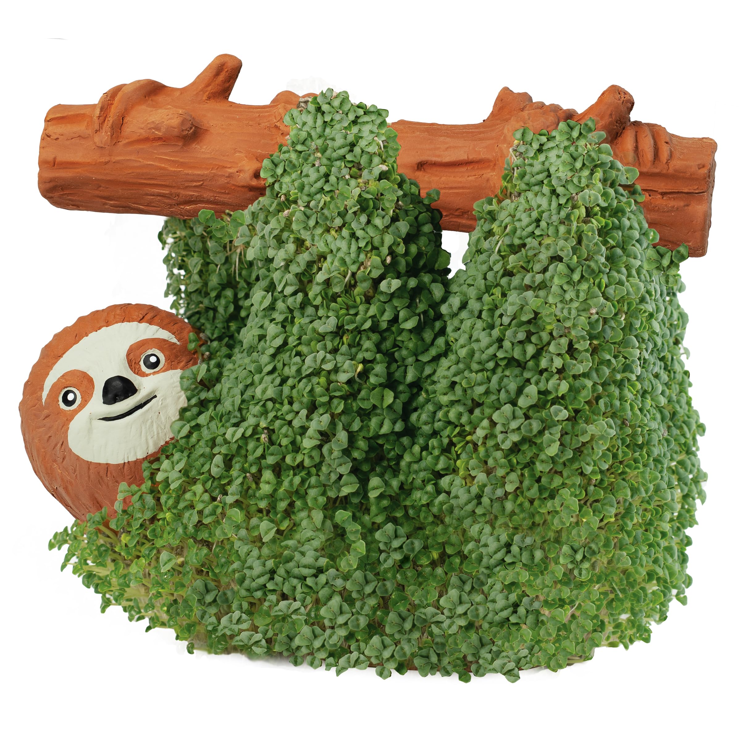 Chia sloth en escritorio decorando y ofreciendo diversión Chia