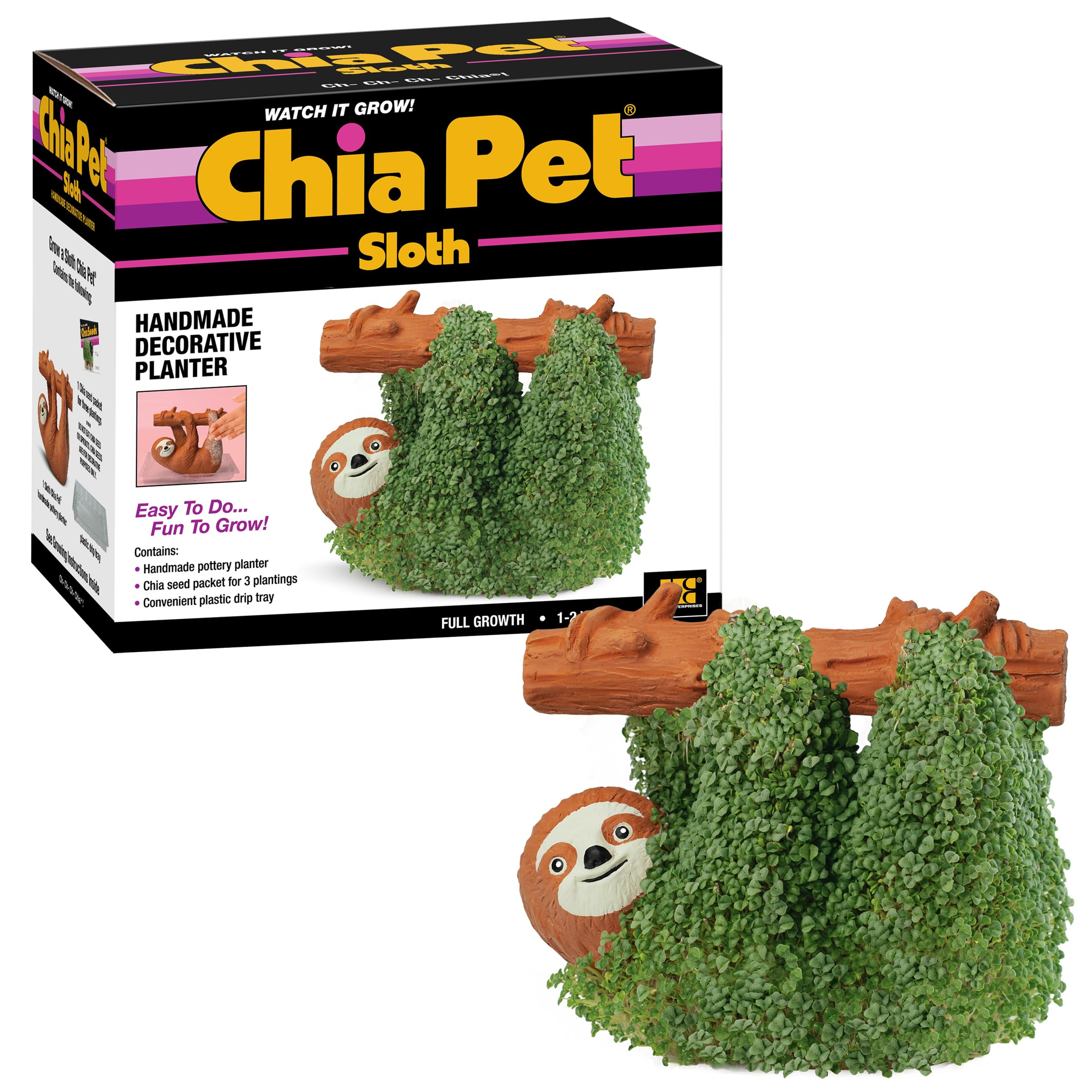 Chia sloth frontal mostrando diseño cerámico y facilidad de cultivo Chia