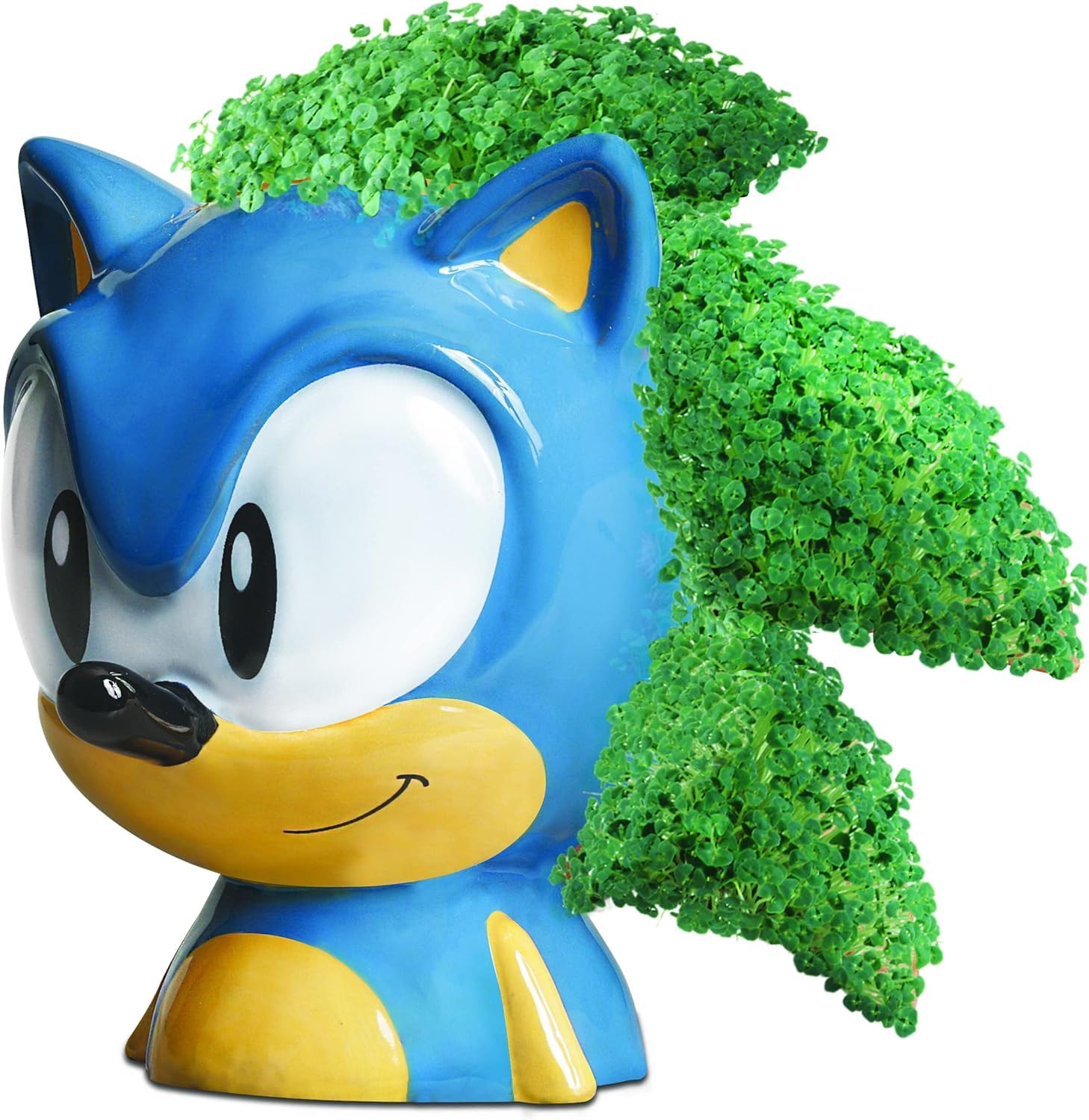 Chia Sonic detalle de textura de cerámica y semillas, marca Chia fácil uso