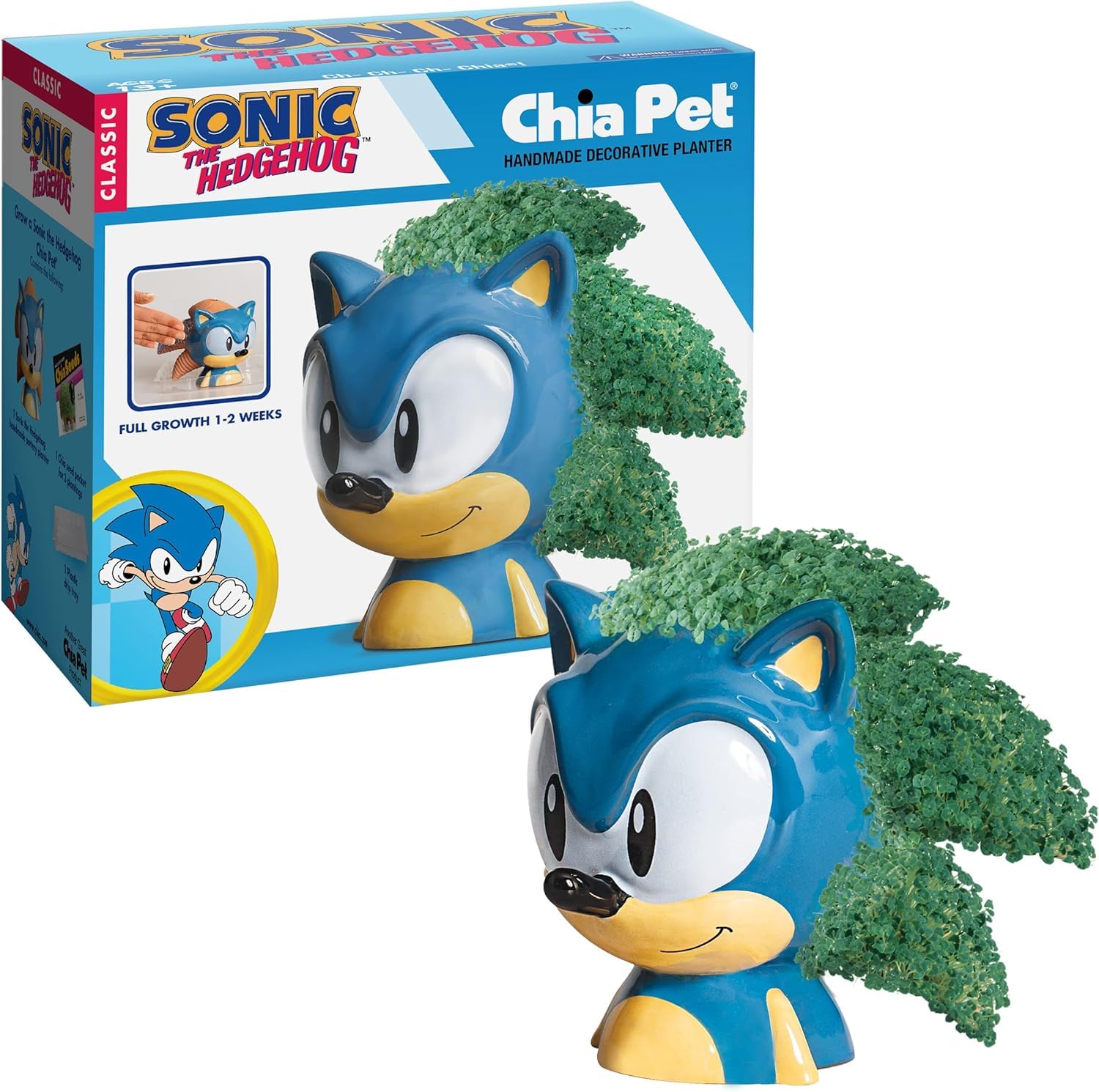 Chia Sonic vista frontal mostrando la maceta de terracota y crecimiento verde