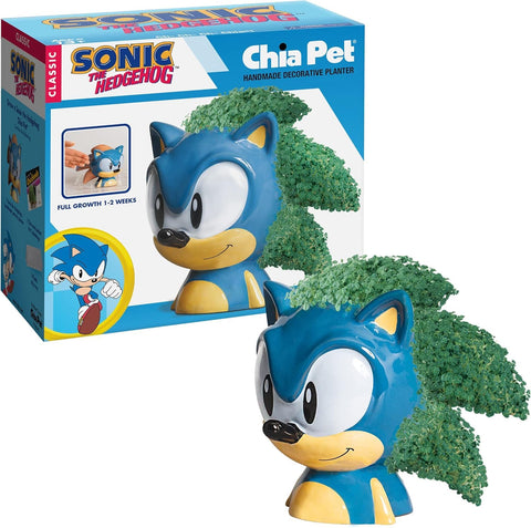 Chia Sonic vista frontal mostrando la maceta de terracota y crecimiento verde