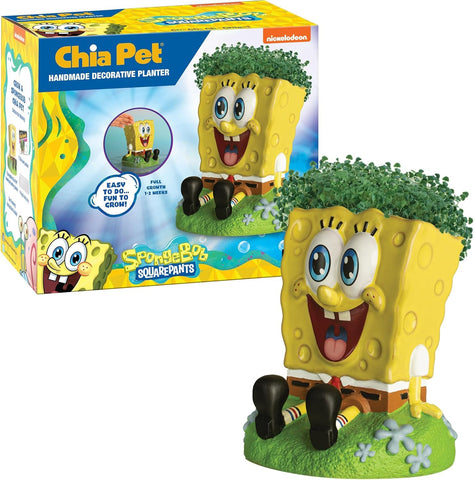 Chia Spongebob maceta frontal mostrando diseño decorativo y crecimiento fácil