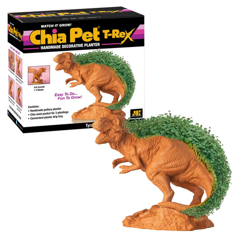 Chia T‑Rex vista frontal mostrando figura cerámica y potencial verde
