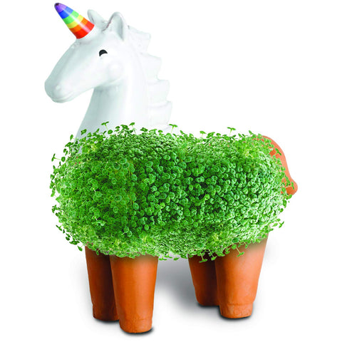 Comparación de tamaño Chia Unicornio Chia con bandeja de goteo y mano para escala