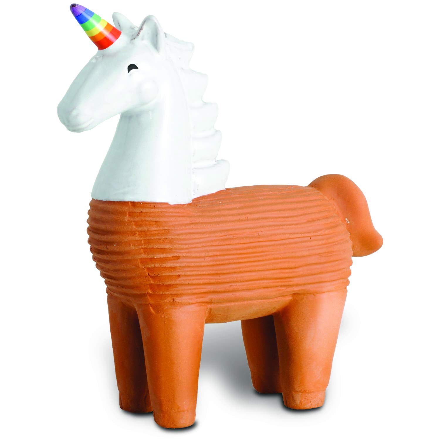 Persona regando el Chia Unicornio Chia en actividad familiar educativa