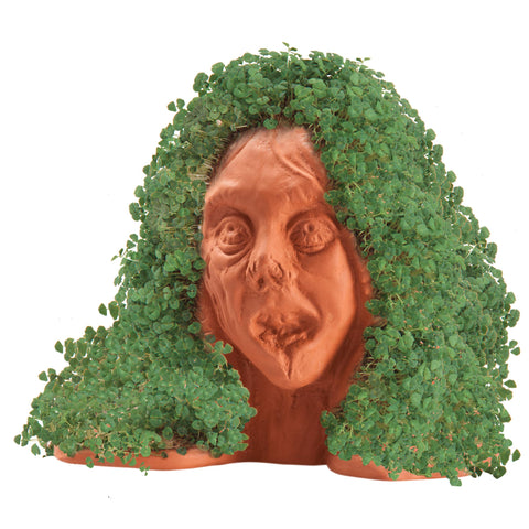 Chia Zombie Lifeless Lisa plantada sobre escritorio mostrando crecimiento y diversión