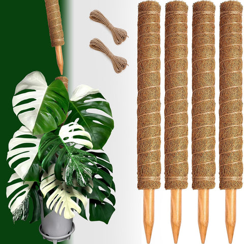 CHIAFFI ambiente interior con plantas apoyadas en postes estéticos