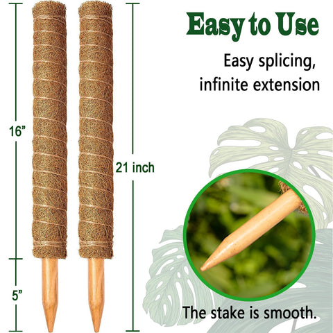 CHIAFFI primer plano fibra de coco, agarre natural para raíces aéreas