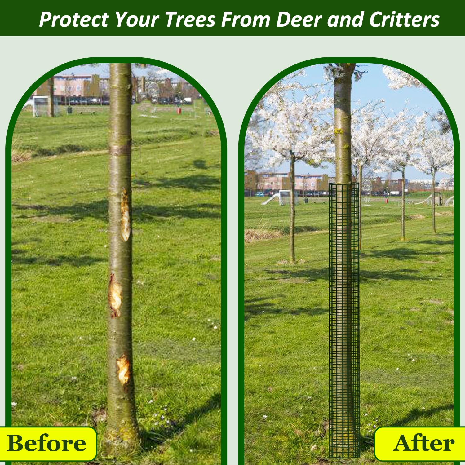 chicarry protector instalado alrededor de un árbol joven evitando daños visibles