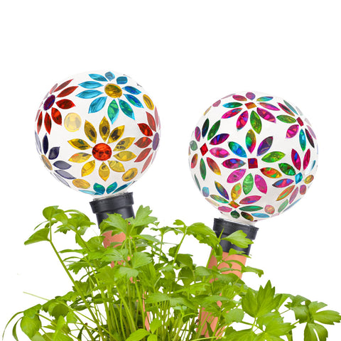 Chonsun estilo de vida con picos en varias macetas integrando decoración
