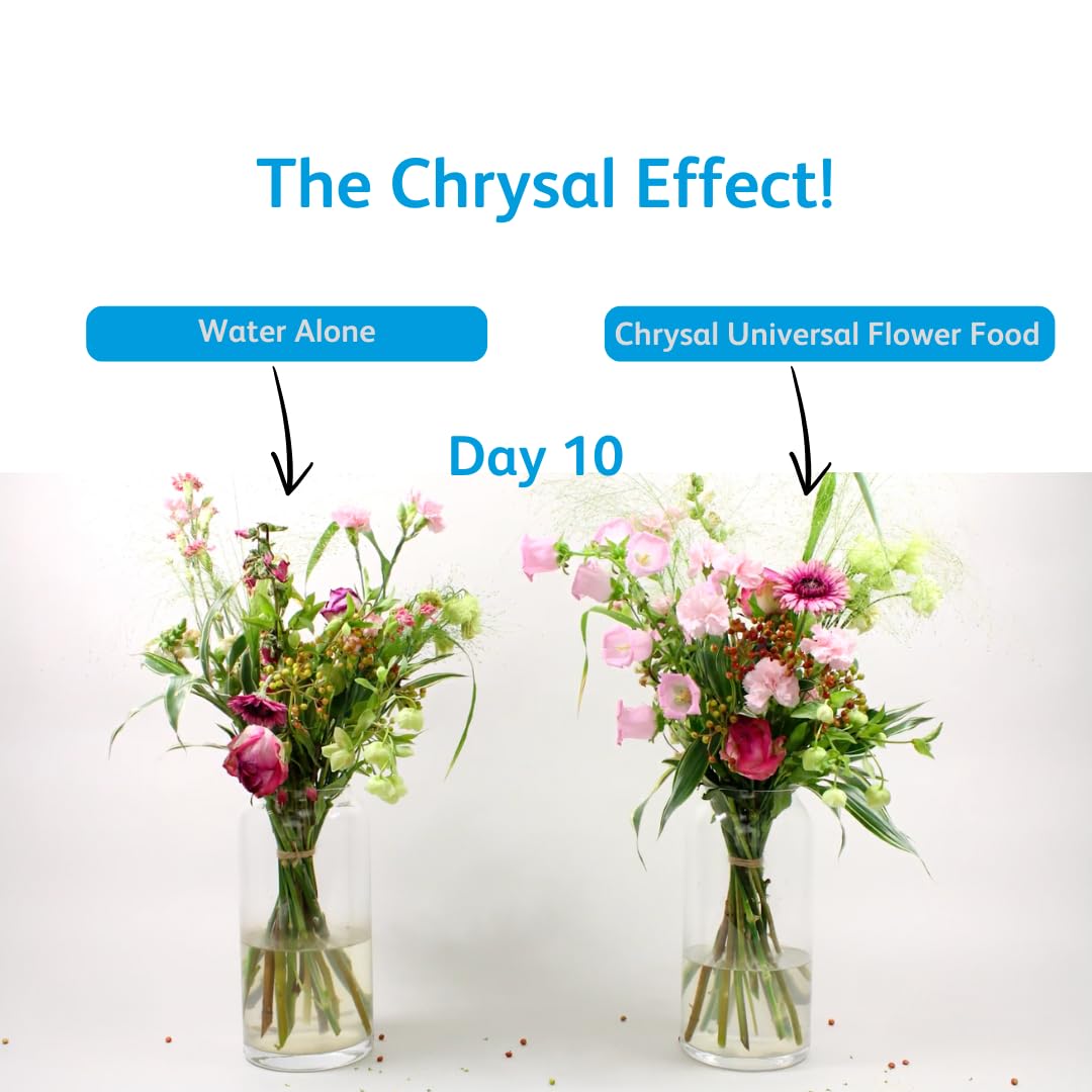 Chrysal multipack 100 uds ideal para florerías y eventos