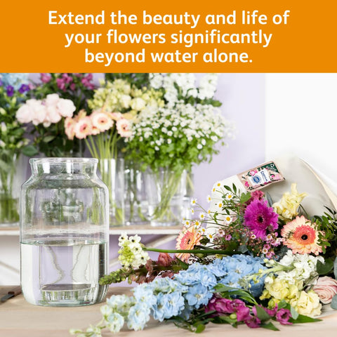 Sobre Chrysal disolviéndose en agua para preparar la solución floral