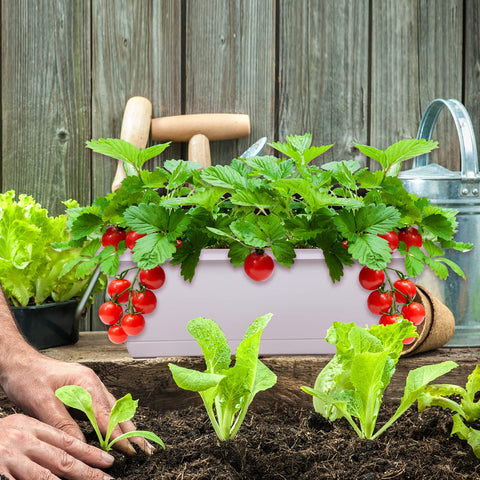 CHUKEMAOYI jardineras en balcón, resistentes a la intemperie y decorativas