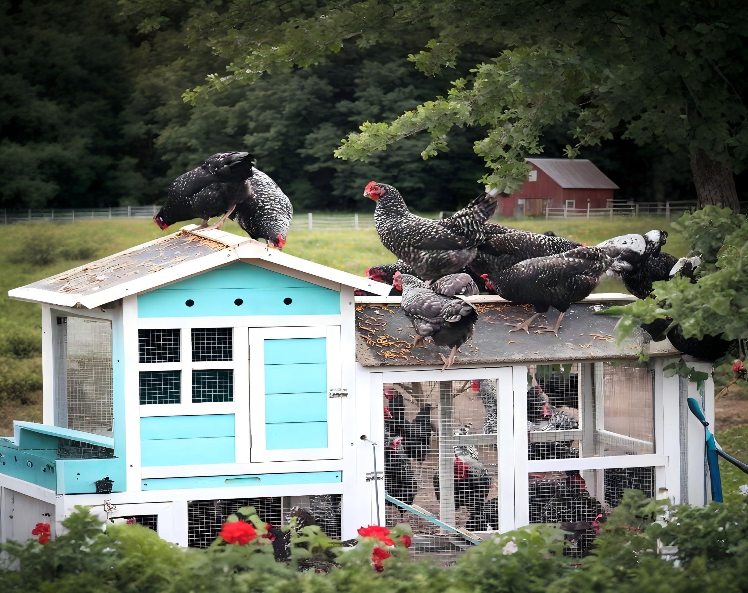Classic Flock comparación de tamaño con mano para escala y dosificación clara