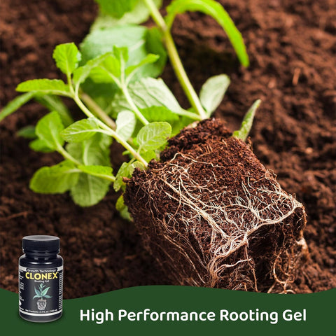 Clonex gel junto a una regla para comparar tamaño del envase, ahorro para viveros