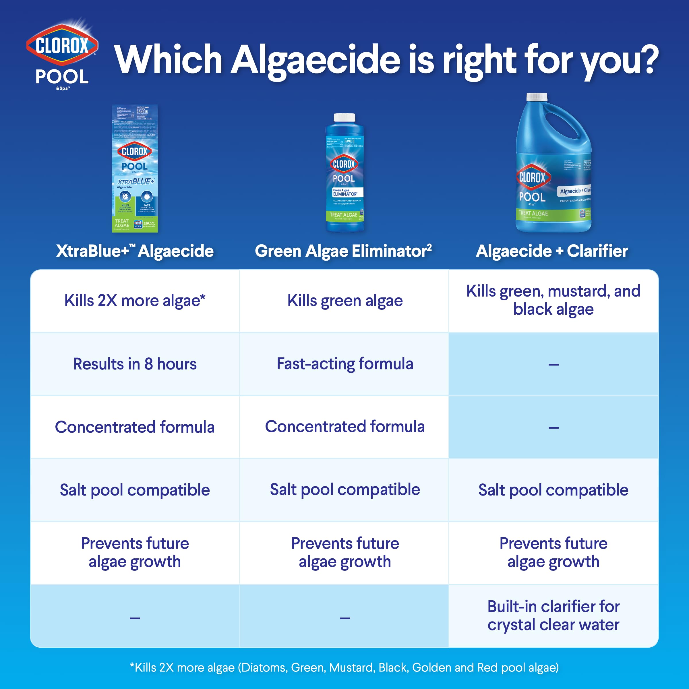 Clorox Pool&Spa aplicación en piscina con agua clara, elimina algas rápidamente
