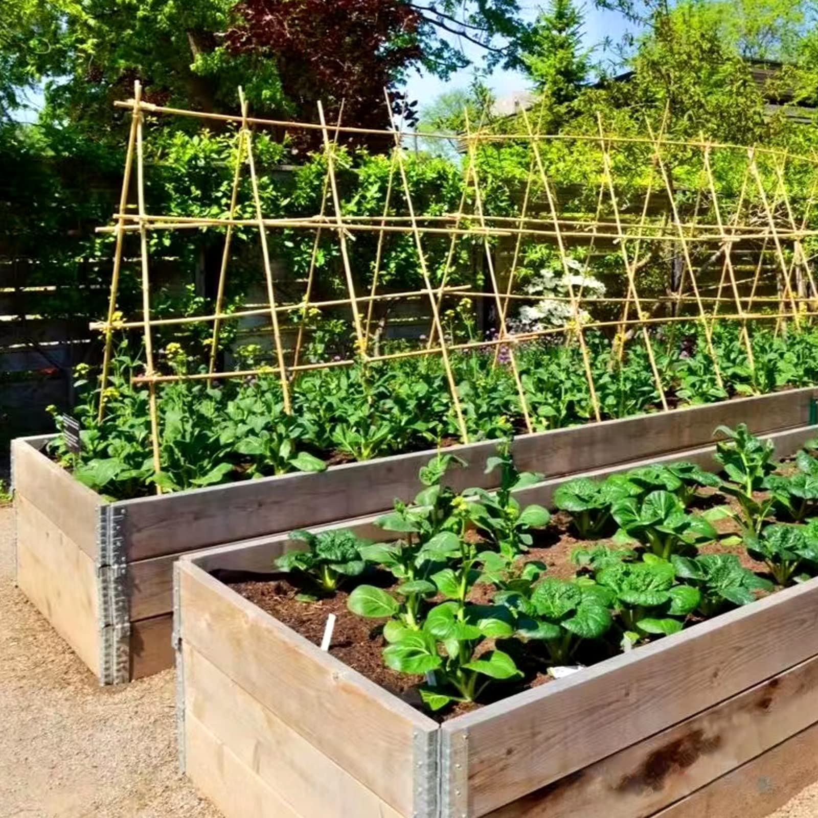 COLOtime estacas en balcón, estética y soporte para plantas