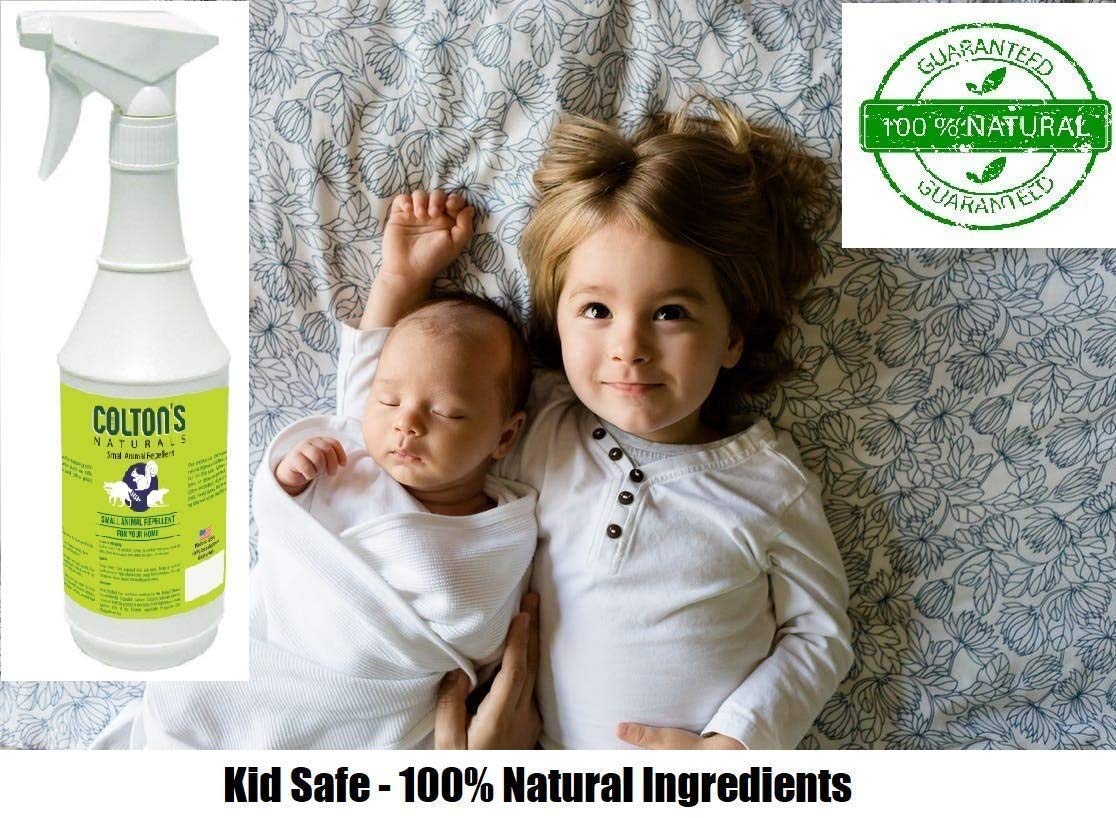 Colton's Naturals tamaño en mano para comparar volumen y duración del producto