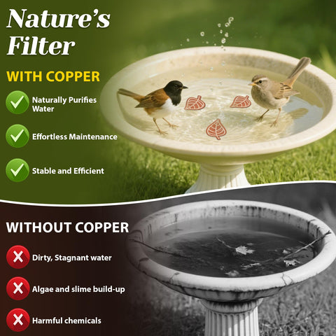 Conderyang varios discos en agua cubriendo superficie para mejor purificación