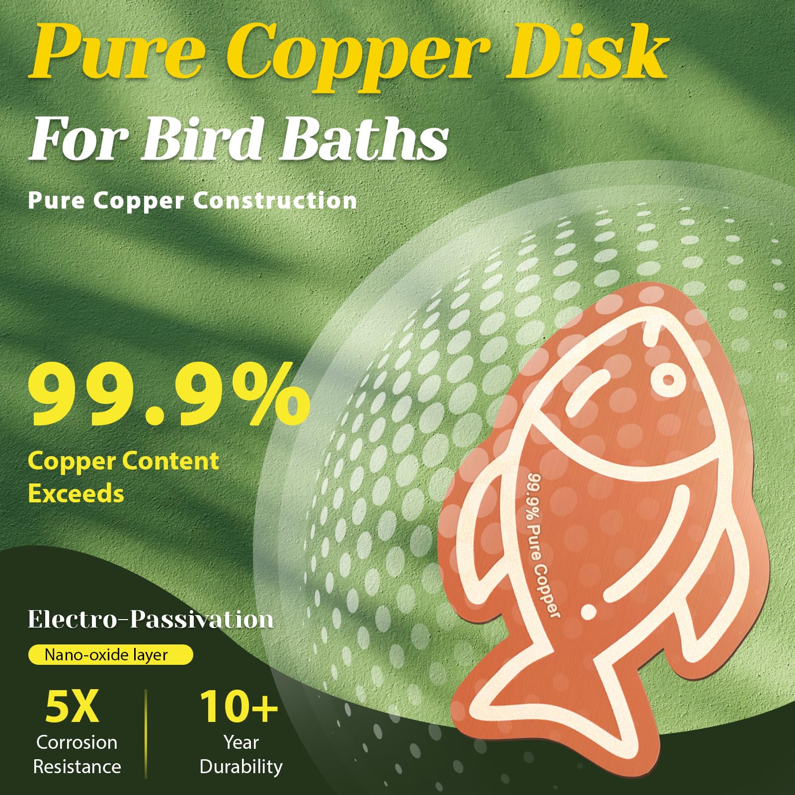 Conderyang disco sumergido en baño de aves mejorando aspecto del agua