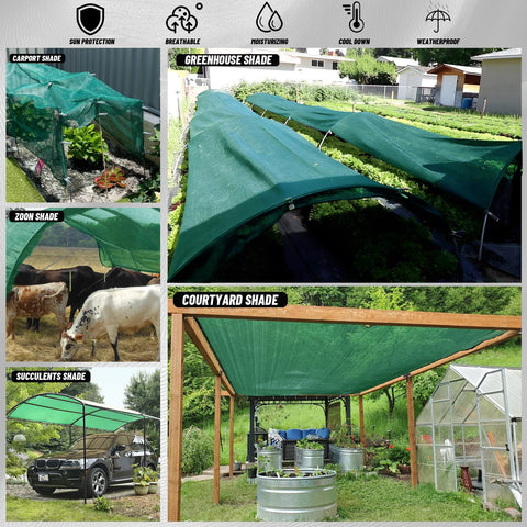 Cool Area accesorios incluidos con hebillas de aluminio, montaje rápido