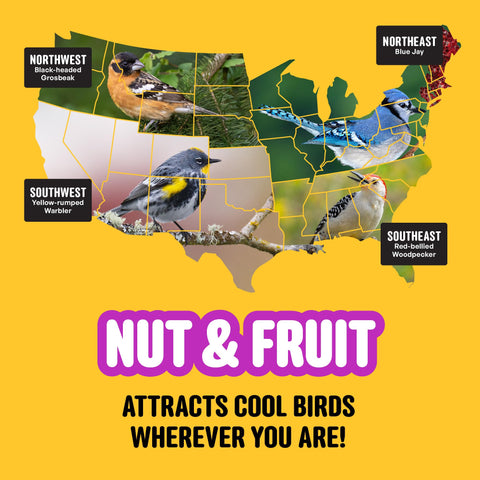 COOL BIRDS saco almacenado en recipiente hermético para conservar frescura