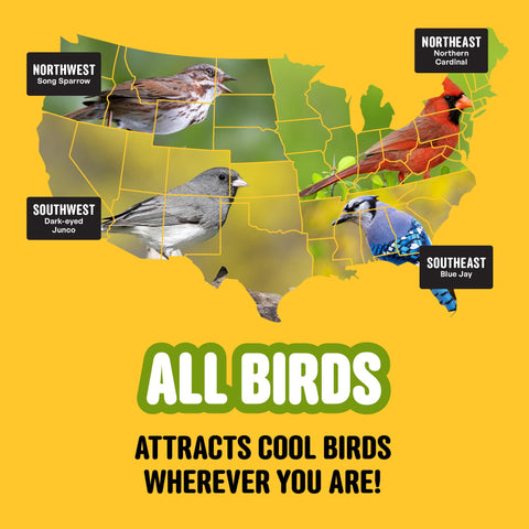 COOL BIRDS aves posadas en plataforma atraídas por la mezcla