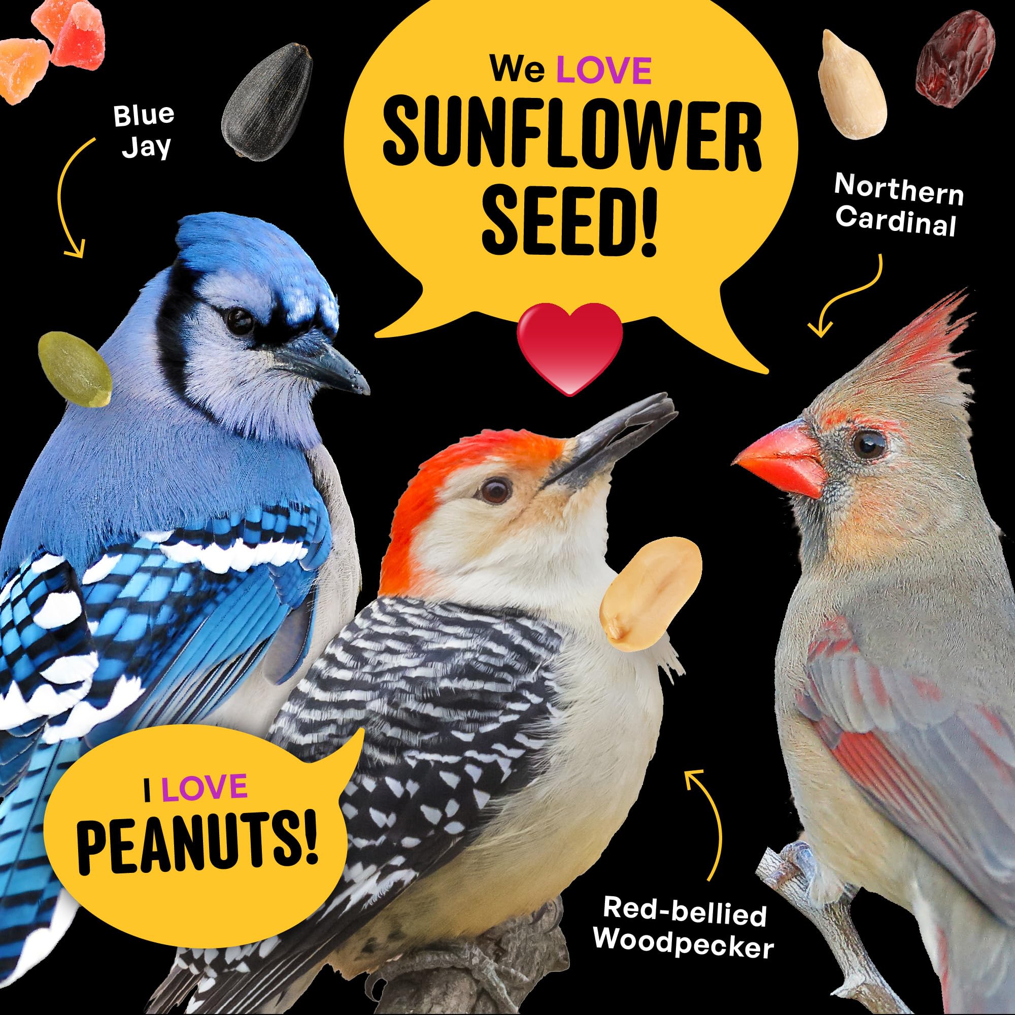 COOL BIRDS etiqueta con lista de ingredientes y beneficios visibles