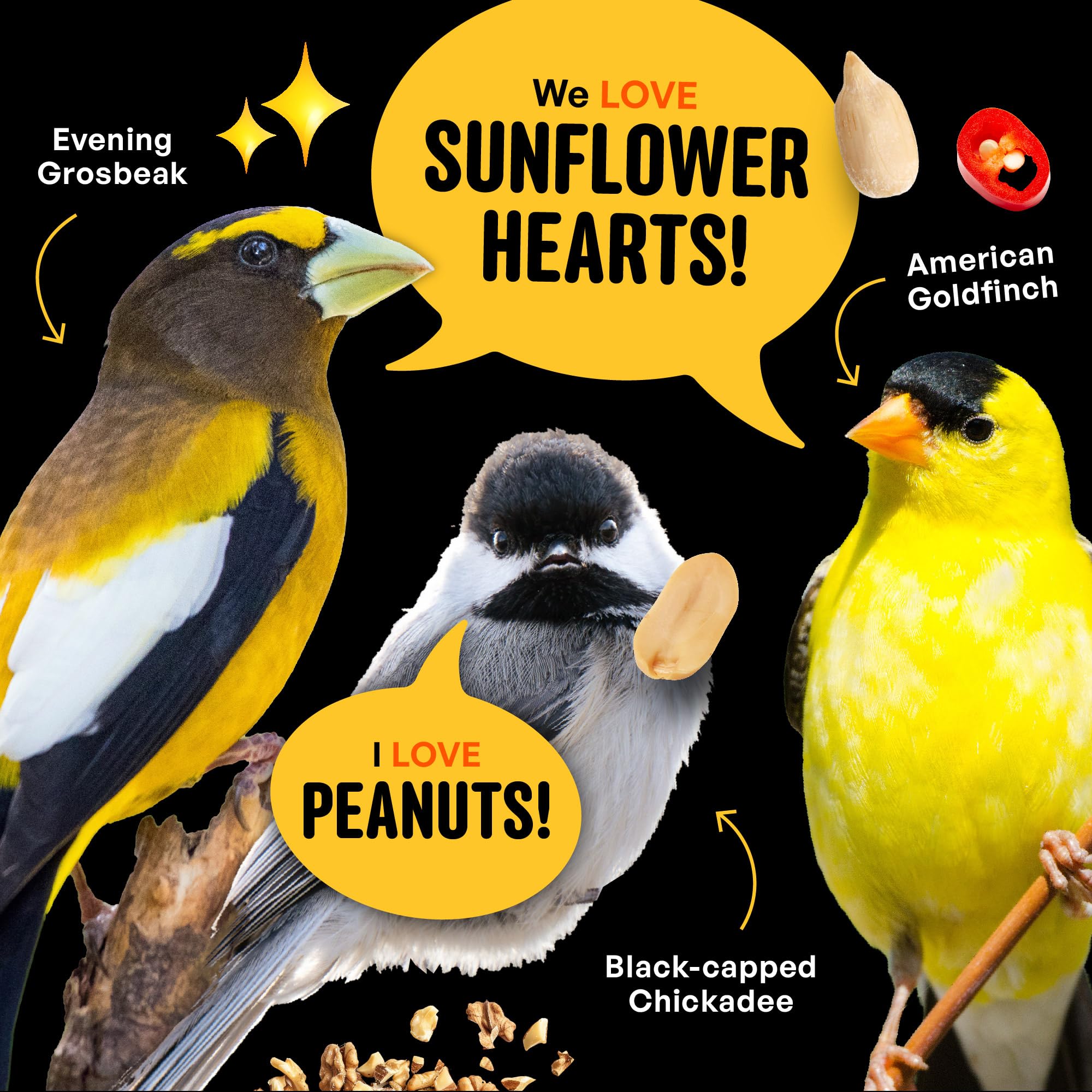 Cool Birds suelo limpio bajo comedero sin cáscaras ni desperdicio