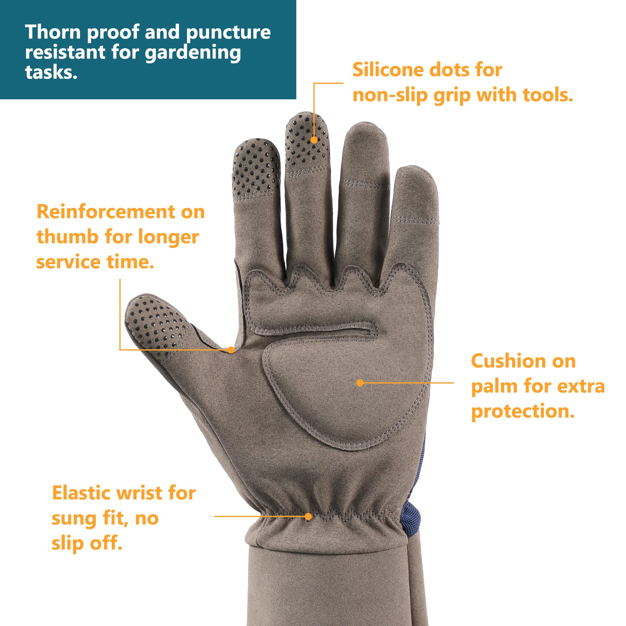 COOLJOB guantes en uso podando rosales, protección y control demostrados