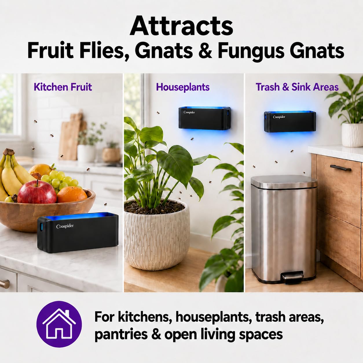 coospider-repta trampa en cocina capturando moscas de la fruta con funcionamiento silencioso