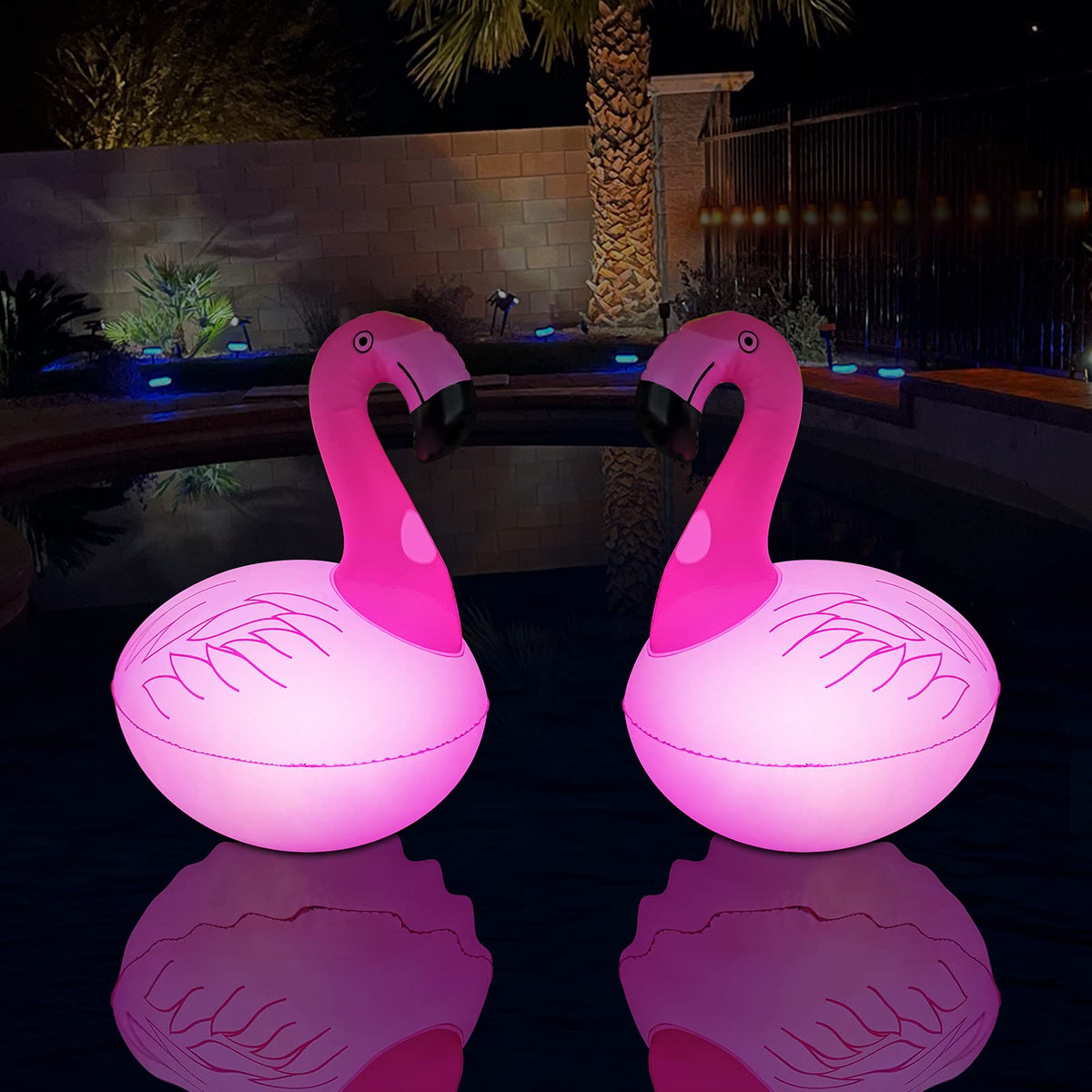 Cootway vista frontal del flamenco flotante mostrando diseño y color