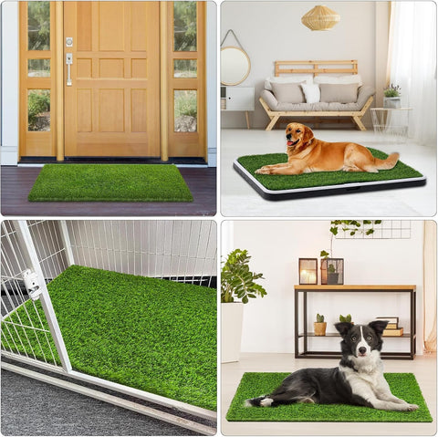 CooZero ambiente de terraza con césped artificial que mantiene verde sin riego