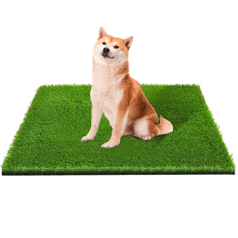CooZero caja frontal mostrando la alfombra lista para usar y conveniente