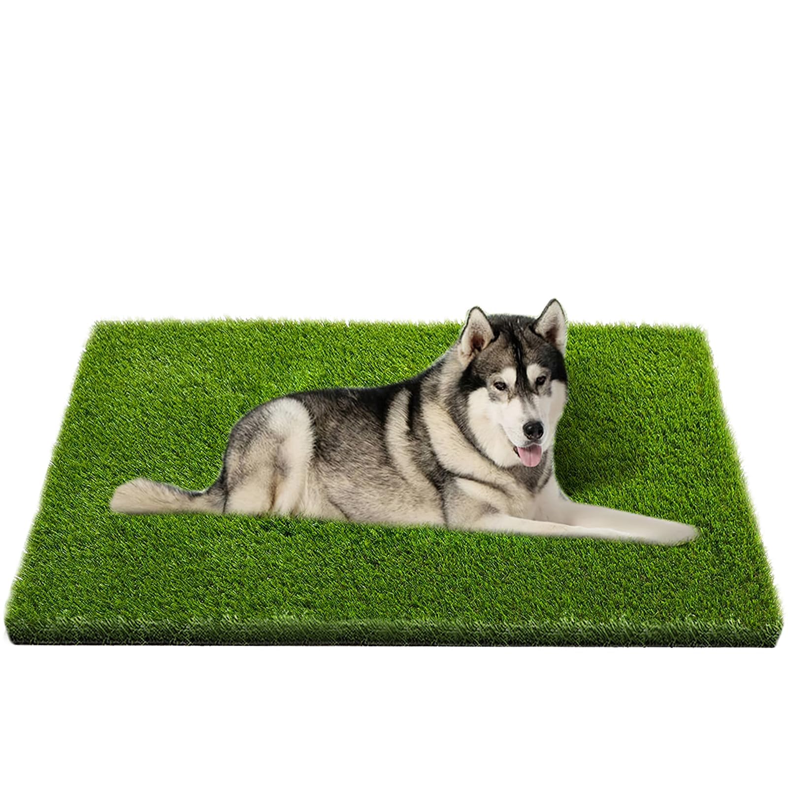 CooZero alfombra frontal mostrando aspecto natural y uso práctico
