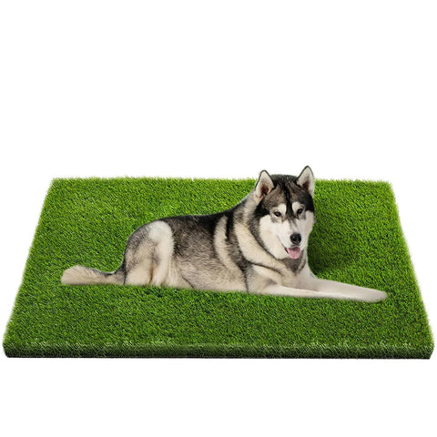 CooZero alfombra frontal mostrando aspecto natural y uso práctico