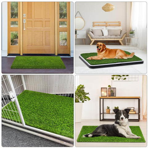 CooZero mascota usando césped estilizado mostrando comodidad y higiene