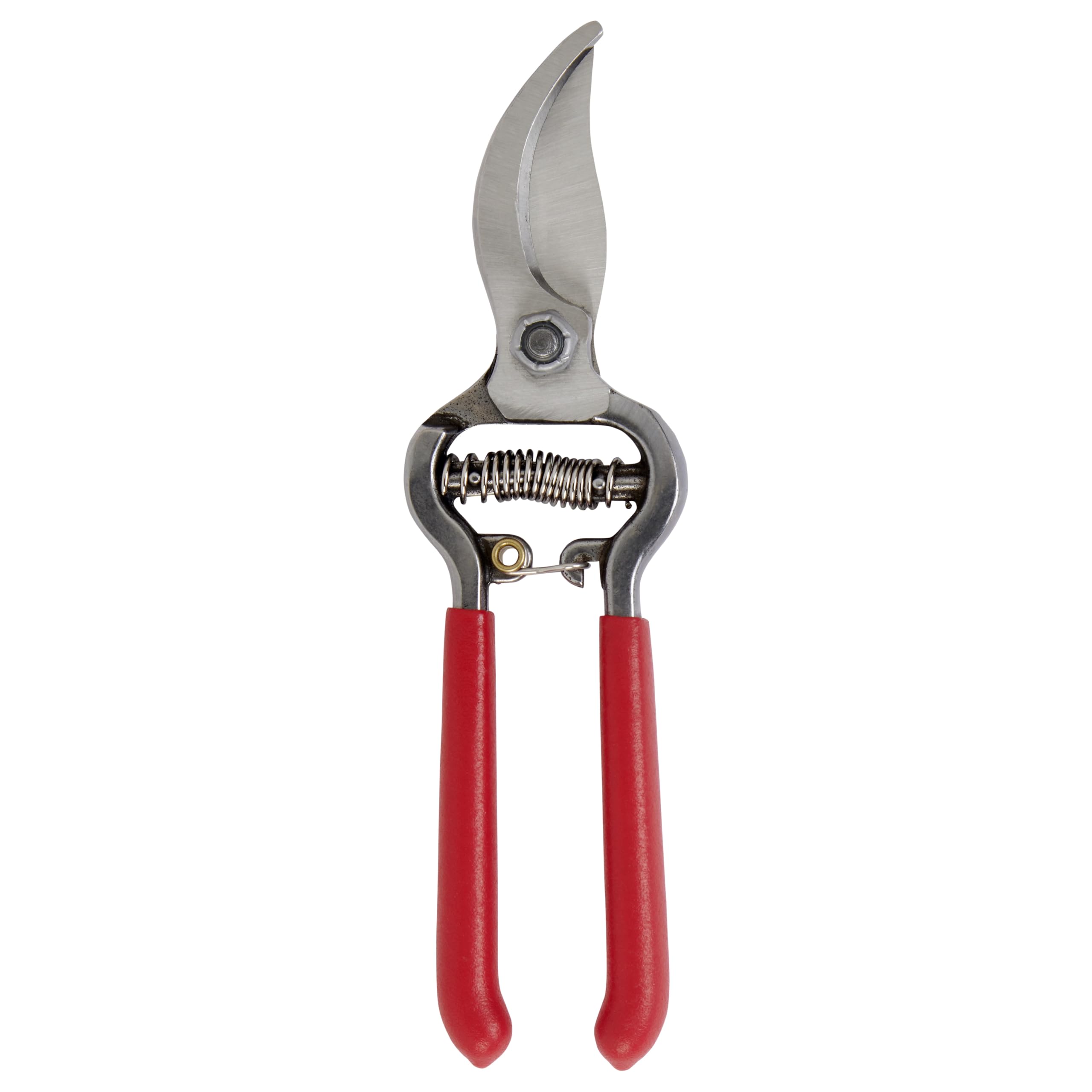 Corona Clipper comparación de tamaño ClassicCUT junto a una regla para referencia de escala