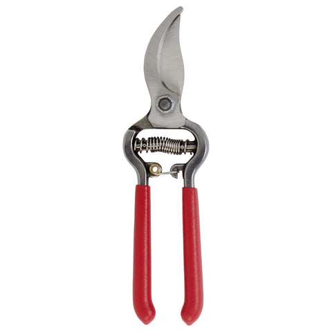Corona Clipper comparación de tamaño ClassicCUT junto a una regla para referencia de escala
