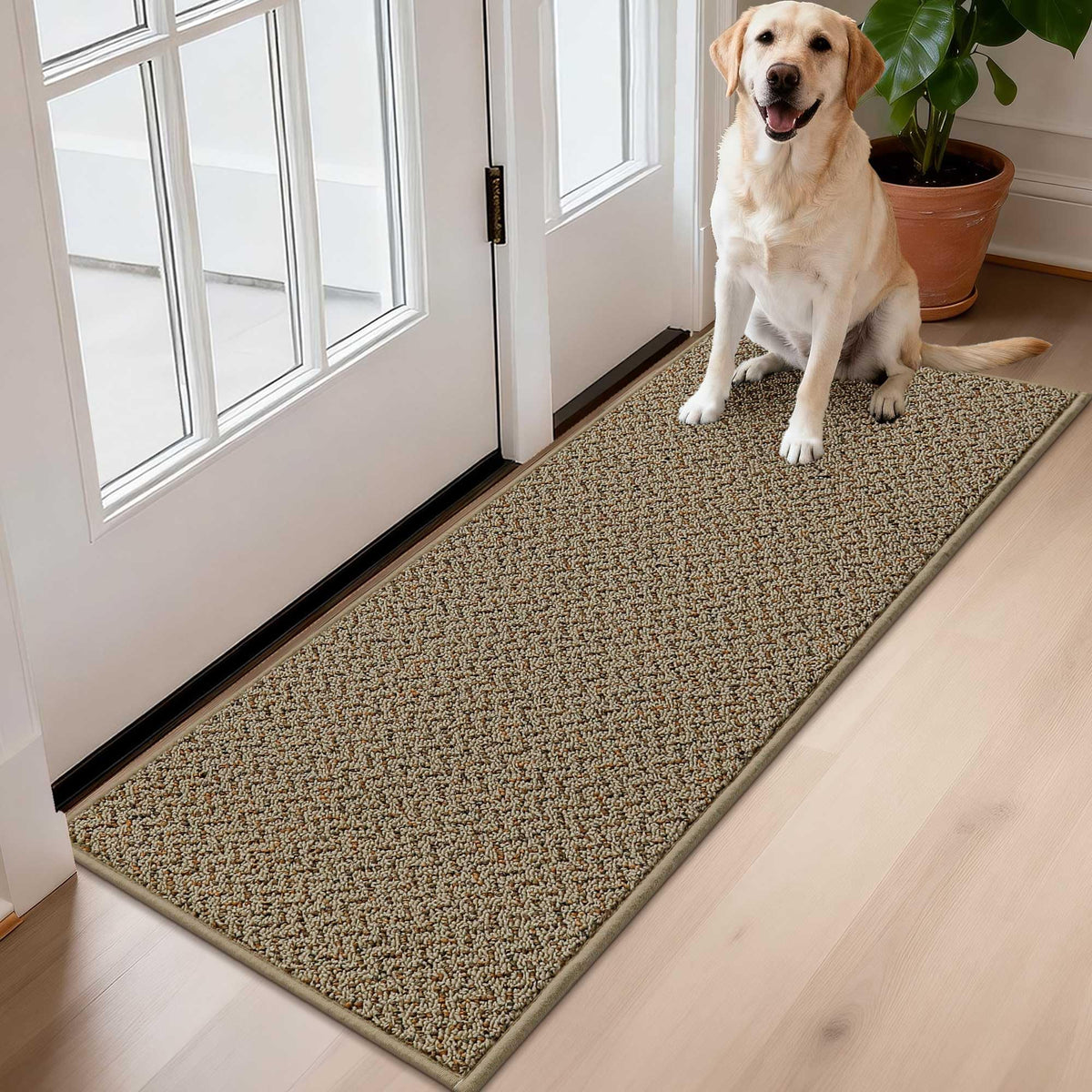 COSY HOMEER felpudo frontal en taupe que protege su entrada