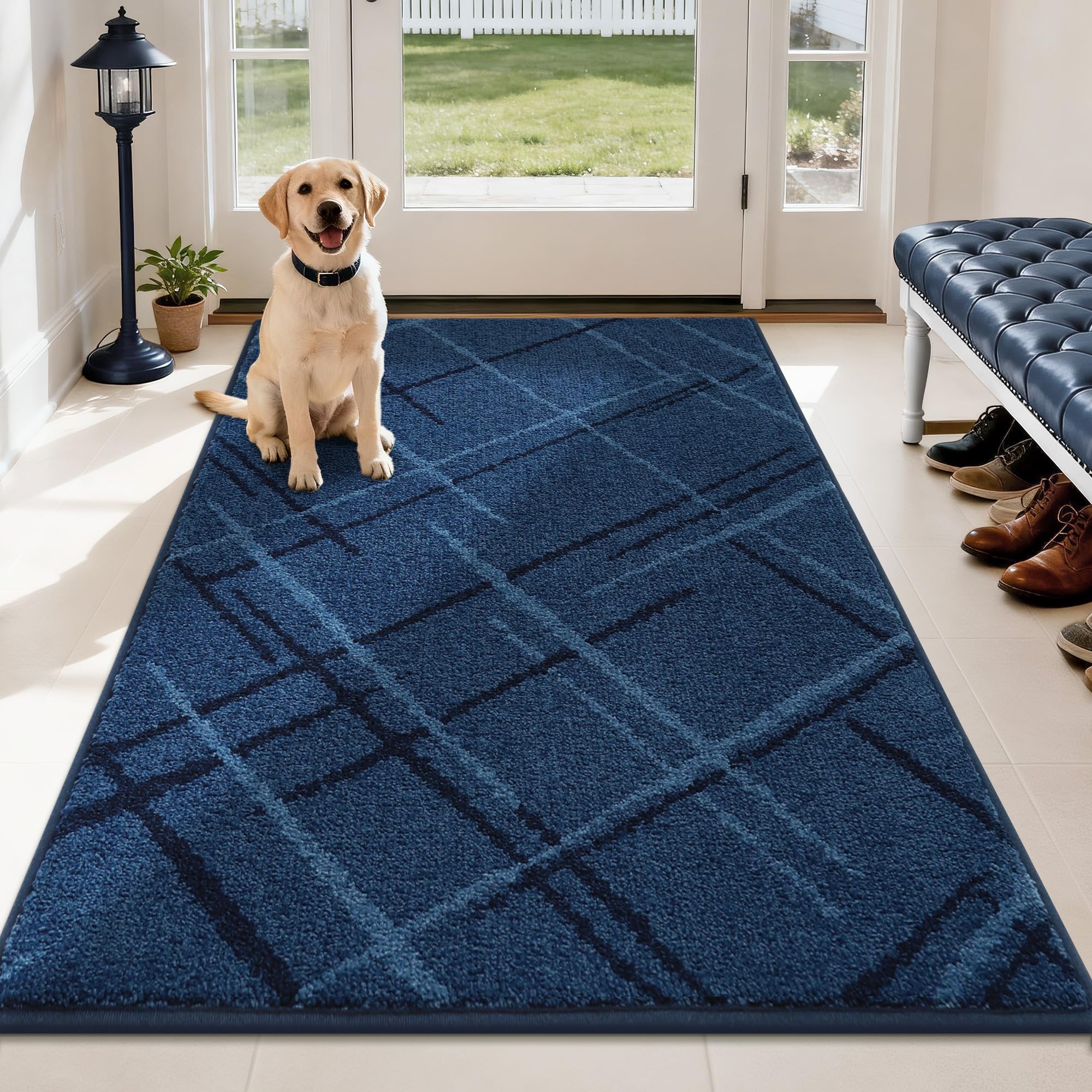 COSY HOMEER vista frontal azul, protege su entrada eficazmente