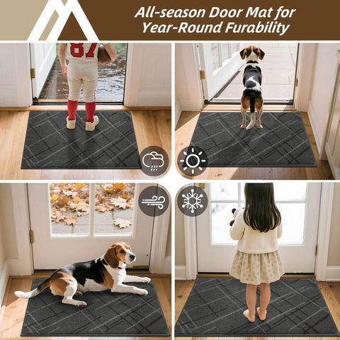 COSY HOMEER mascota con patas limpias tras usar el felpudo
