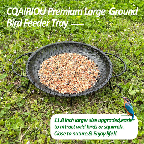 CQAIRIOU comedero en jardín con aves usando la bandeja y decoración natural